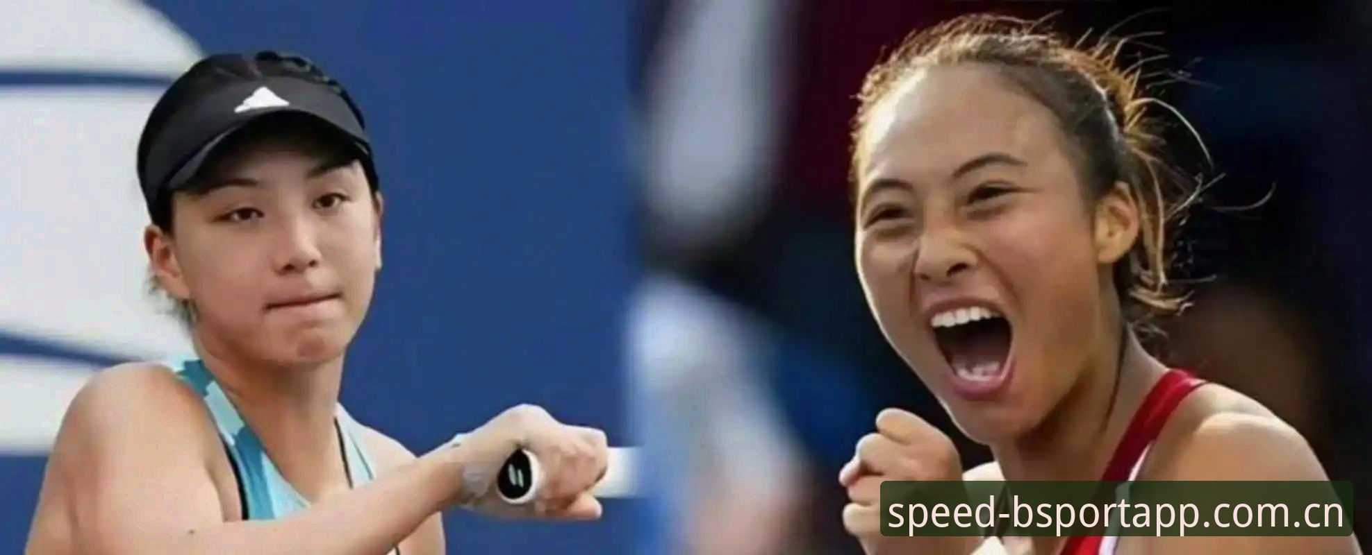 BSPORT官方App安装失败 郑钦文法网保分战vs王欣瑜种子突围:2026法网女单中国金花前景对比分析